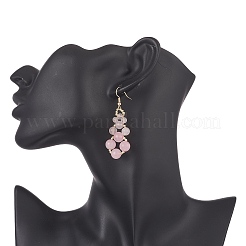 Natural Mixed Gemstone & Synthetic Hematite Teardrop Dangle Earrings&nbsp;EJEW-JE05253