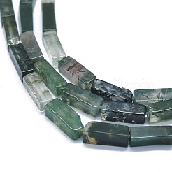 Natural Moss Agate Beads Strands&nbsp;G-F631-E06