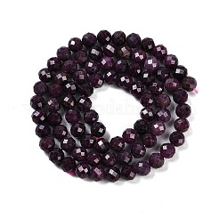 Natural Ruby Beads Strands&nbsp;G-P553-G01-04