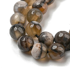 Natural Agate Beads Strands&nbsp;G-M437-B01-02