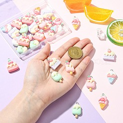 30Pcs 6 Styles Opaque Resin Pendants&nbsp;RESI-CJ0005-26