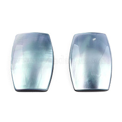 Natural Turbo Cornulus/Top Shells Cabochons&nbsp;SSHEL-N003-153A