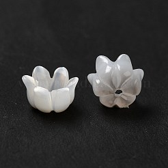 Natural Freshwater Shell Bead Caps&nbsp;BSHE-E026-12