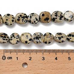 Natural Dalmatian Jasper Beads Strands&nbsp;LS-G-P497-01E-80