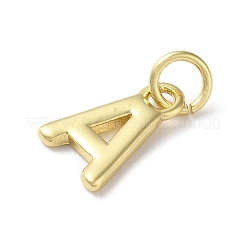 Rack Plating Brass Charms&nbsp;KK-P245-06G-A