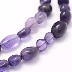 Natural Amethyst Beads Strands&nbsp;G-K230-13
