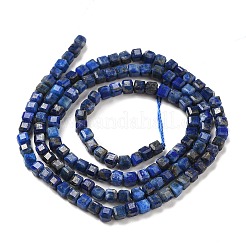 Natural Lapis Lazuli Beads Strands&nbsp;G-E608-B12