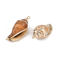 Natural Shell Pendants&nbsp;SHEL-K009-01C