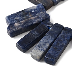 Natural Sodalite Beads Strands&nbsp;G-S386-D19