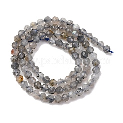 Natural Labradorite Beads Strands&nbsp;G-RM250104-E3