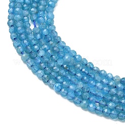 Natural Apatite Beads Strands&nbsp;G-Z160-A01-2mm
