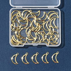 40Pcs 304 Stainless Steel Charms&nbsp;STAS-FS0001-51
