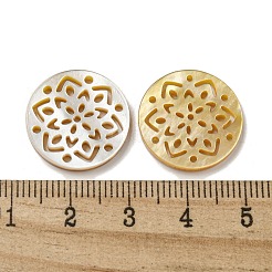 Natural Yellow Shell Cabochons&nbsp;SSHEL-N038-02A