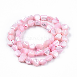 Natural Trochid Shell/Trochus Shell Beads Strands&nbsp;SSHEL-N032-49-A06