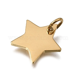 304 Stainless Steel Charms&nbsp;STAS-E532-07G