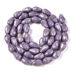 Opaque Solid Color Beads Strands&nbsp;X-EGLA-N013-P10mm-D09