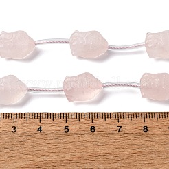Natural Rose Quartz Beads Strands&nbsp;G-K382-E01-01