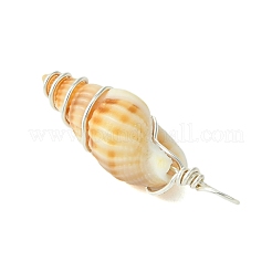 Natural Spiral Shell Pendants&nbsp;PALLOY-JF02793-02