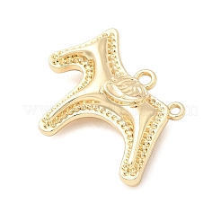 Alloy Pendants&nbsp;FIND-I066-02G