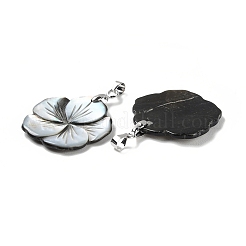 Natural Black Lip Shell Pendants&nbsp;BSHE-Z003-30P