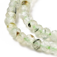 Natural Prehnite Beads Strands&nbsp;G-E194-06