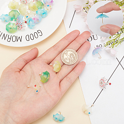 Acrylic Pendants&nbsp;KY-SC0001-32