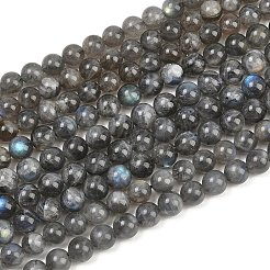 Natural Labradorite Beads Strands&nbsp;G-P336-19-8mm-01