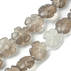 Natural Grey Agate Bead Strands&nbsp;G-H023-B20-01