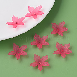 Transparent Acrylic Beads&nbsp;X-MACR-S373-127-D