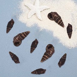 Spiral Shell Beads&nbsp;SSHEL-SC0001-07