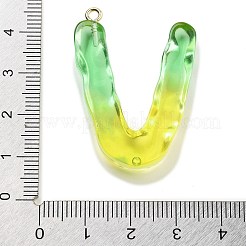 Resin Pendant&nbsp;FIND-Q107-01V-02