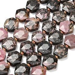 Natural Rhodonite Beads Strands&nbsp;G-L660-A01-01