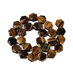 Natural Tiger Eye Beads Strands&nbsp;G-N368-01A-09