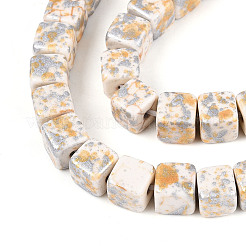 Spray Painted Synthetic Turquoise Beads Strands&nbsp;TURQ-T004-13A