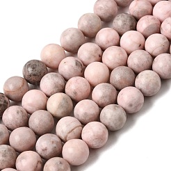 Natural Pink Zebra Jasper Beads Strands&nbsp;G-P231-01-10mm