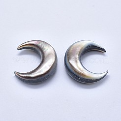 Natural Black Lip Shell Cabochons&nbsp;SSHEL-P015-80B-20mm