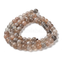 Natural Grey Moonstone Beads Strands&nbsp;G-F632-24-02-01
