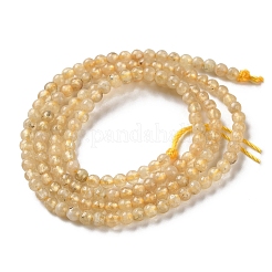 Natural Yellow Garnet Beads Strands&nbsp;G-Z129-C01-3mm-01