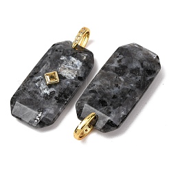 Natural Labradorite Pendants&nbsp;GG-CBA51ED-05G-02