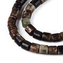Natural Biotite Beads Strands&nbsp;G-T141-88B