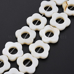 Freshwater Shell Beads Frames Strands&nbsp;LS-SHEL-T009-14A