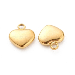 304 Stainless Steel Pendants&nbsp;STAS-Z009-19G