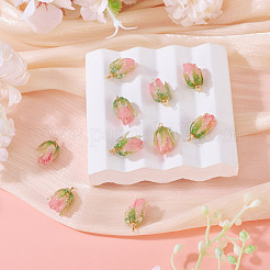 10Pcs Transparent Acrylic Pendants&nbsp;SACR-TA0001-66B