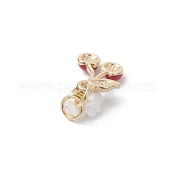 Alloy Enamel Charms&nbsp;PALLOY-JF04430