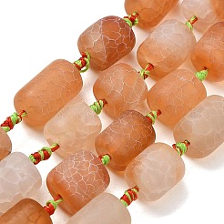 Natural Weathered Agate Beads Strands&nbsp;G-A321-D02-01B