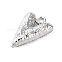 Non-Tarnish 304 Stainless Steel Pendants&nbsp;STAS-G338-11P