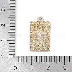 Alloy Enamel Pendants&nbsp;FIND-F013-02G