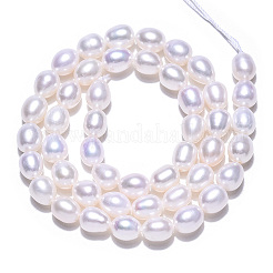 Natural Cultured Freshwater Pearl Beads Strands&nbsp;PEAR-N012-06P
