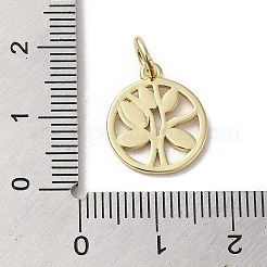 Brass Enamel Charms&nbsp;KK-E092-15G-02