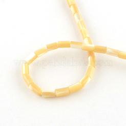 Column Natural Trochid Shell/Trochus Shell Beads Strands&nbsp;SSHEL-F290-27